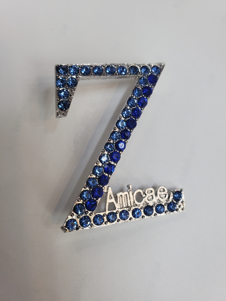 Pin Amicae Z
