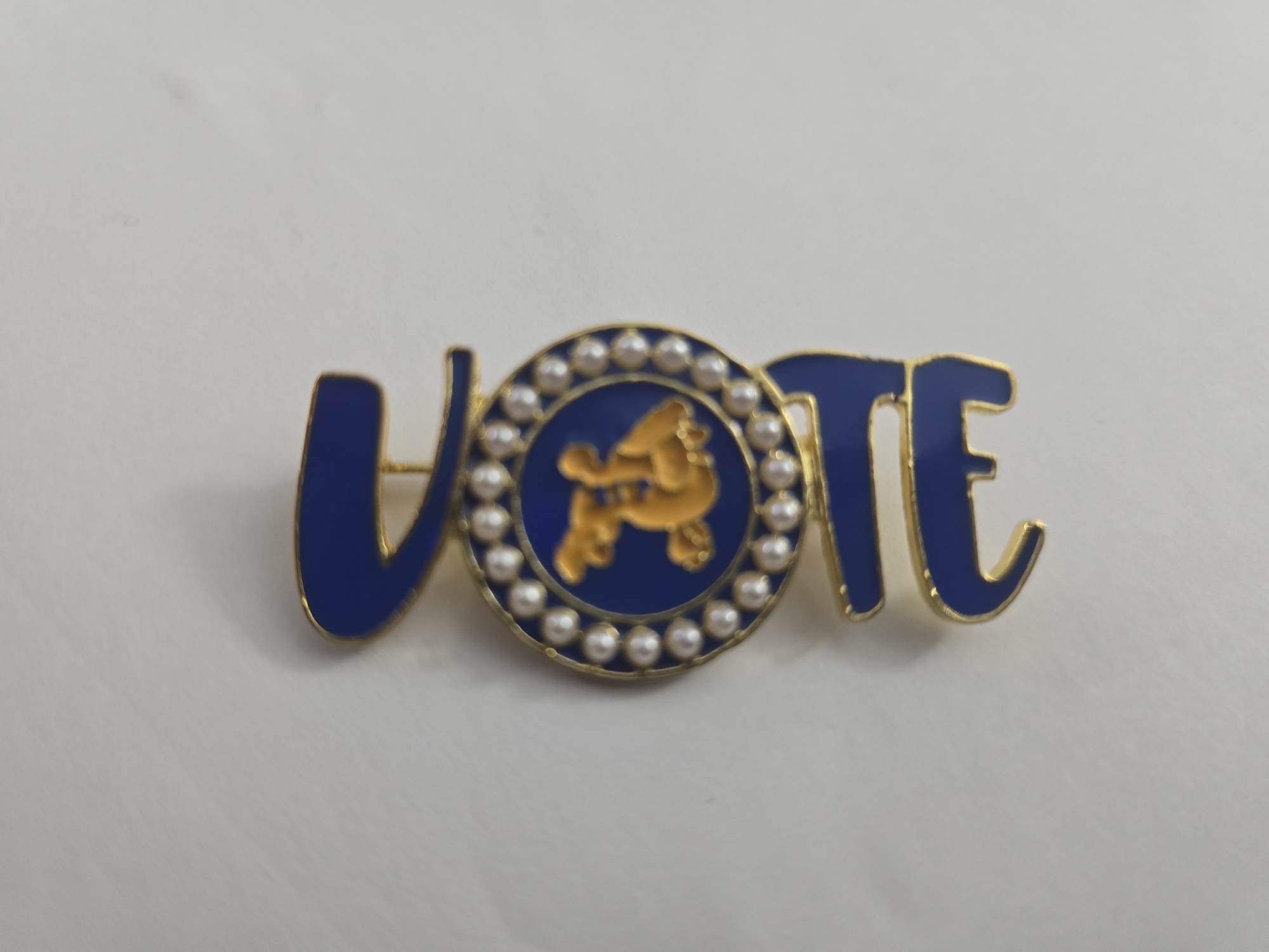 Vote Pin